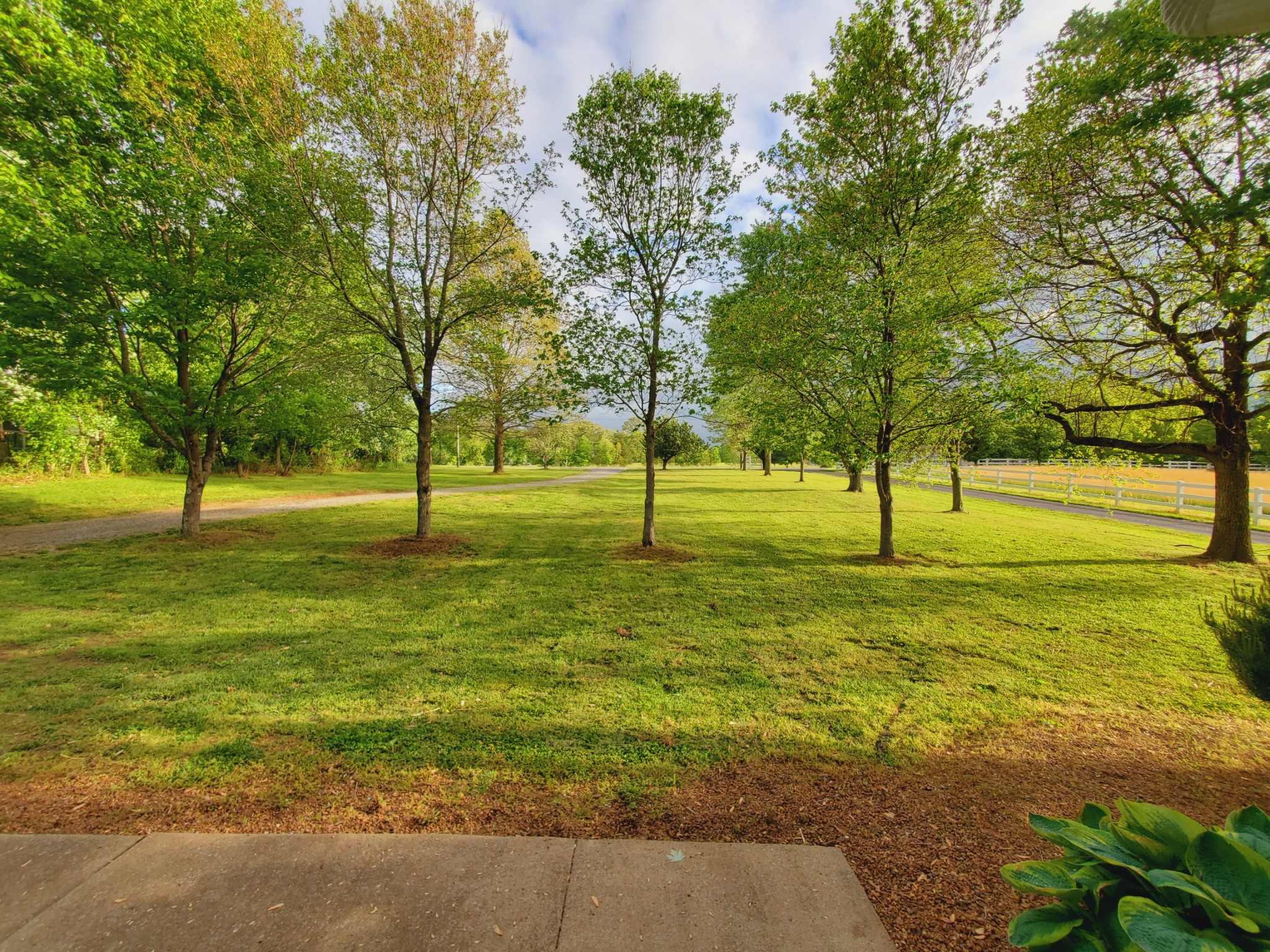 324 West Harper Road Portland, TN 37148 - Photo 5 of 25 a view of a yard with a tree