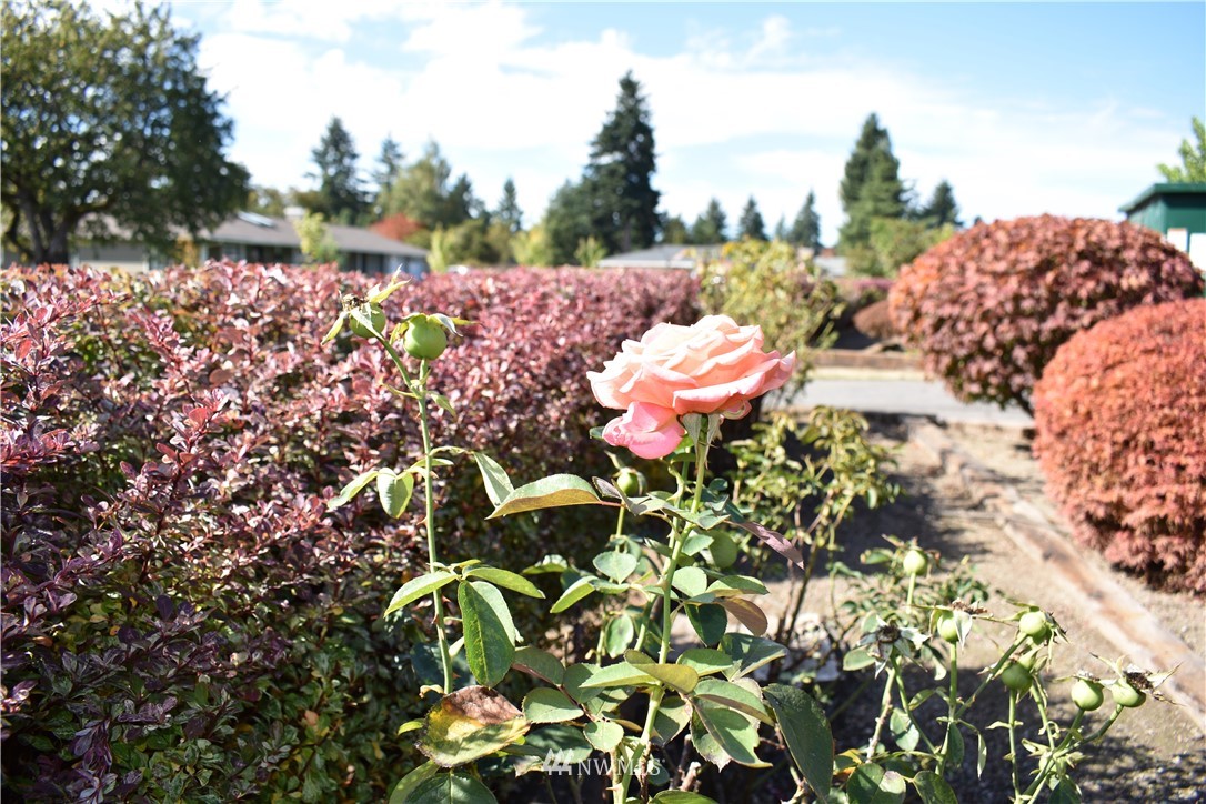 5205 Arrowhead Road Southwest Lakewood, WA 98499 - Photo 25 of 25 Gallery Image 25