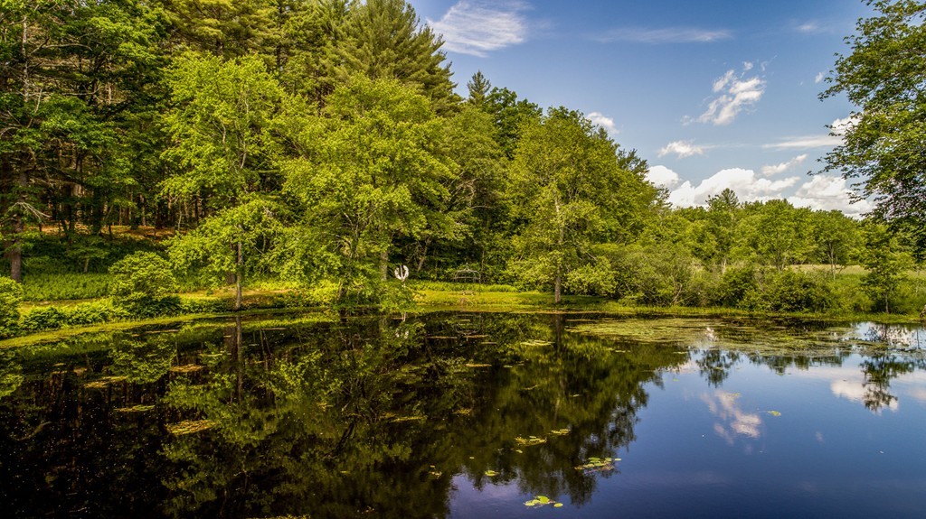 1075 Lowell Road Concord, MA 01742 - Photo 5 of 26 a view of lake view