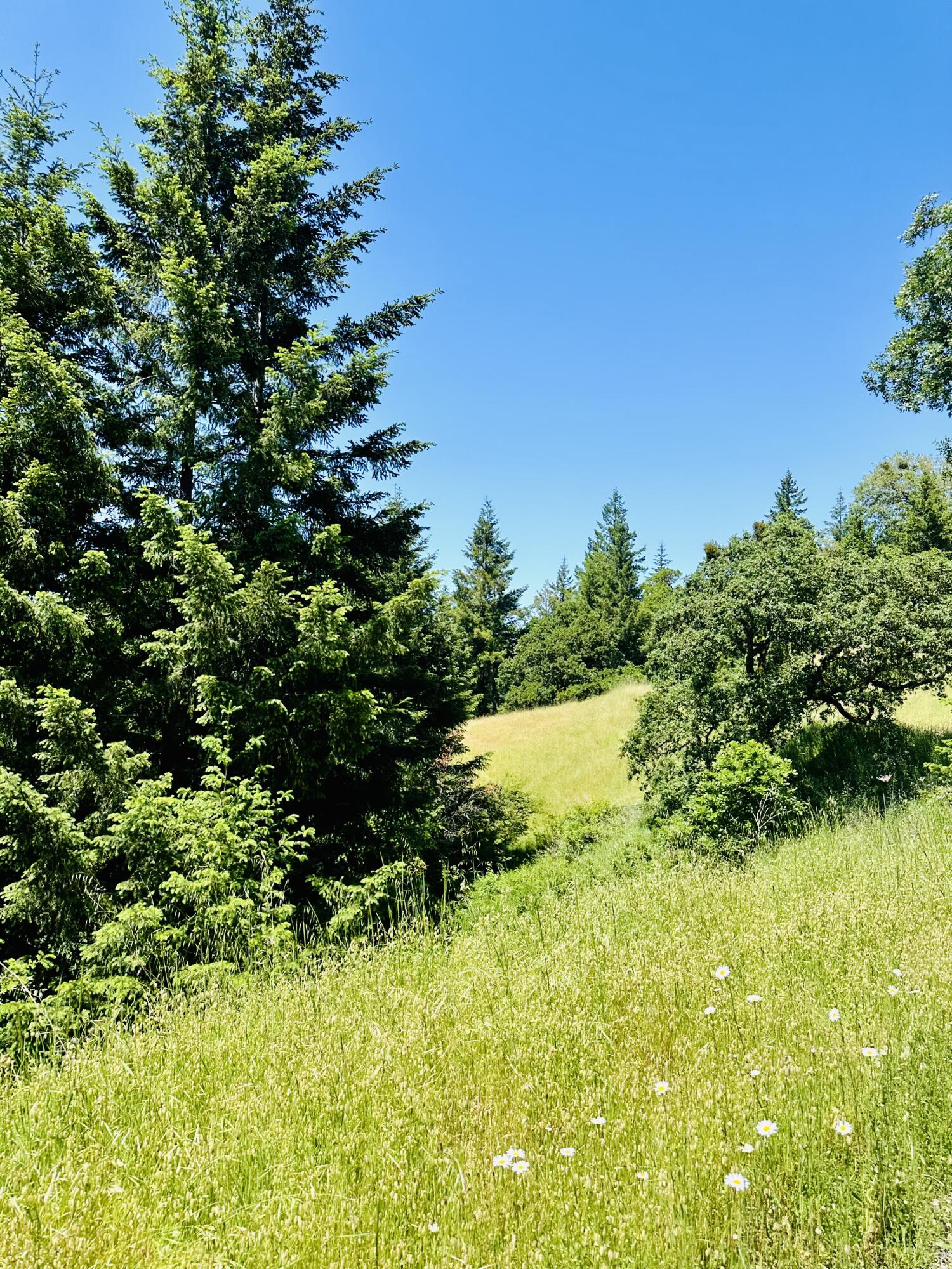 400 Seely Creek Road Redway, CA 95560 - Photo 63 of 73