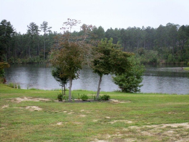 1780 Highway 1 Rockingham, NC 28379 - Photo 2 of 16 Additional Photo