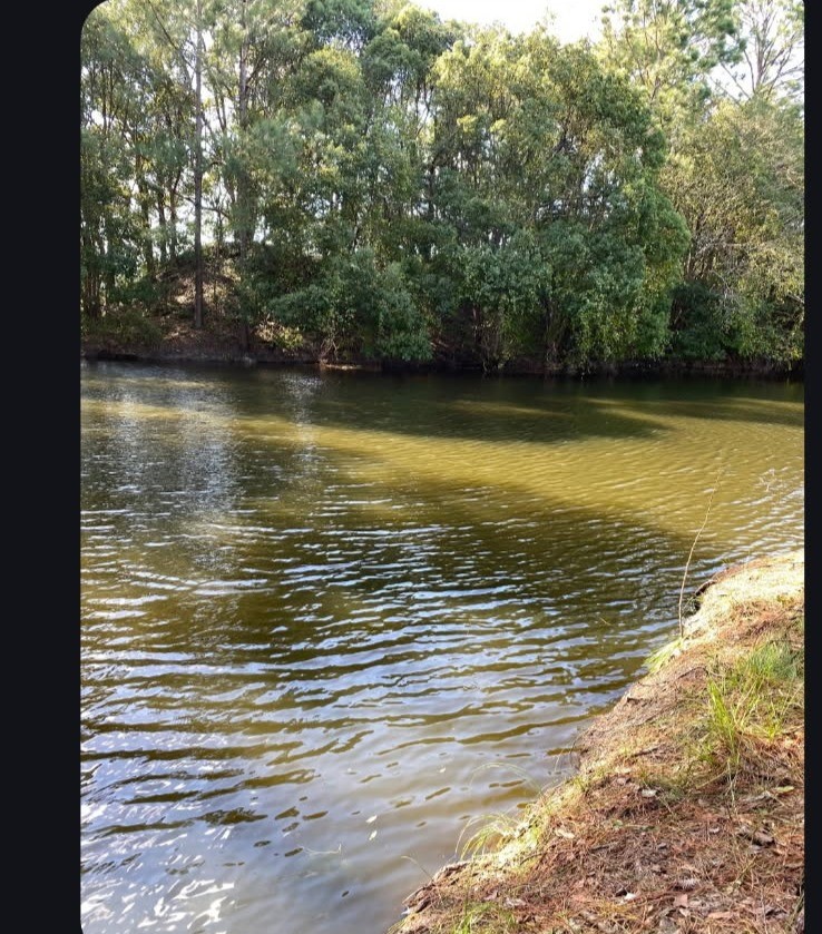 6204 Cross Swamp Road Patterson, GA 31557 - Photo 1 of 16