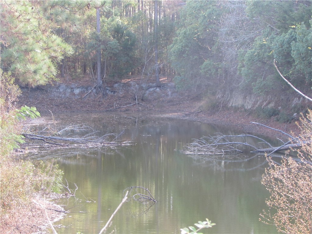 6204 Cross Swamp Road Patterson, GA 31557 - Photo 14 of 16