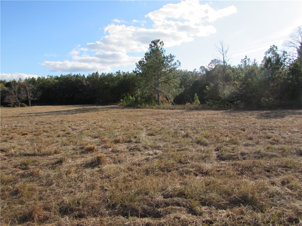 6204 Cross Swamp Road Patterson, GA 31557 - Photo 15 of 16