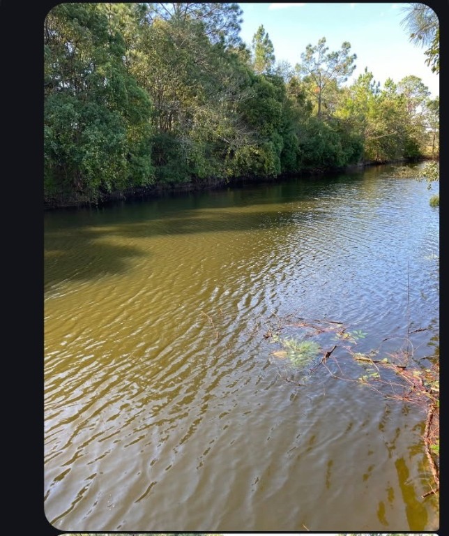 6204 Cross Swamp Road Patterson, GA 31557 - Photo 2 of 16