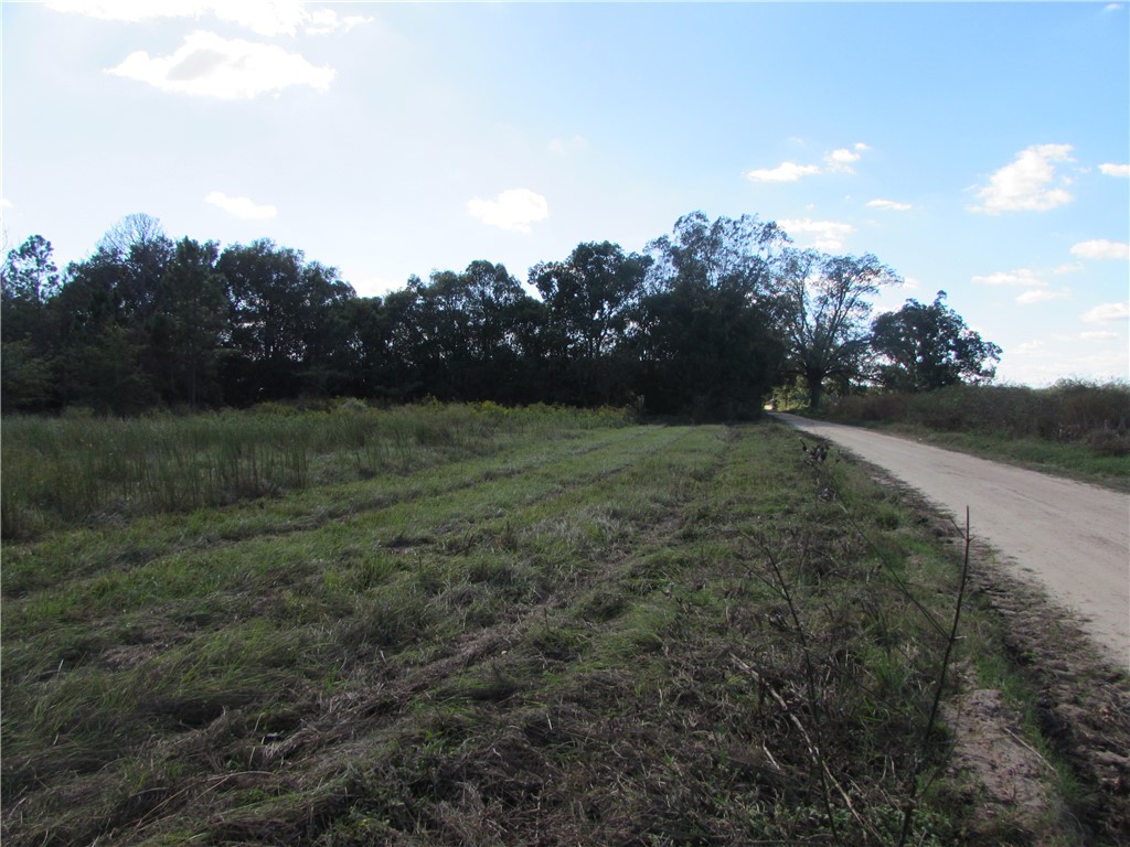6204 Cross Swamp Road Patterson, GA 31557 - Photo 2 of 16