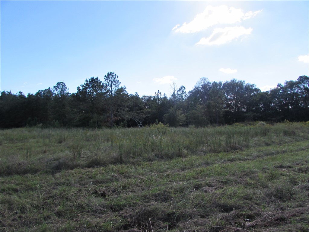 6204 Cross Swamp Road Patterson, GA 31557 - Photo 4 of 16