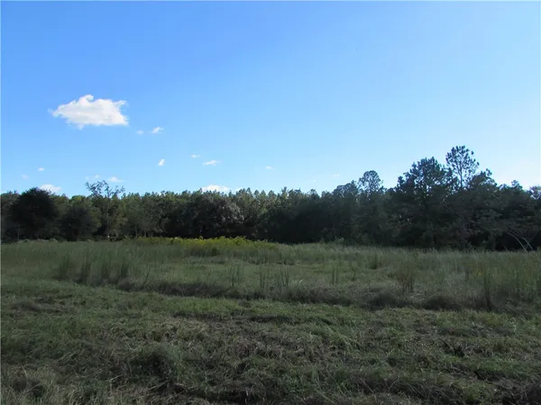 $80,000 | 6204 Cross Swamp Road, Patterson, GA 31557