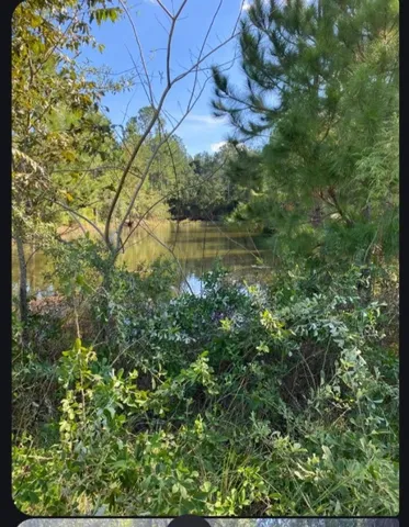 $80,000 | 6204 Cross Swamp Road, Patterson, GA 31557