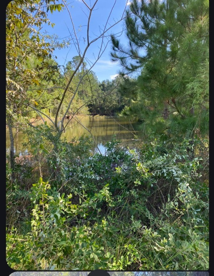 6204 Cross Swamp Road Patterson, GA 31557 - Photo 8 of 16