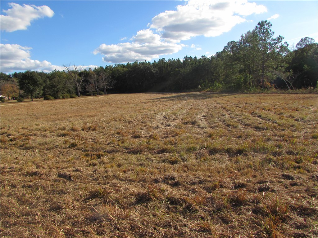 6204 Cross Swamp Road Patterson, GA 31557 - Photo 8 of 16