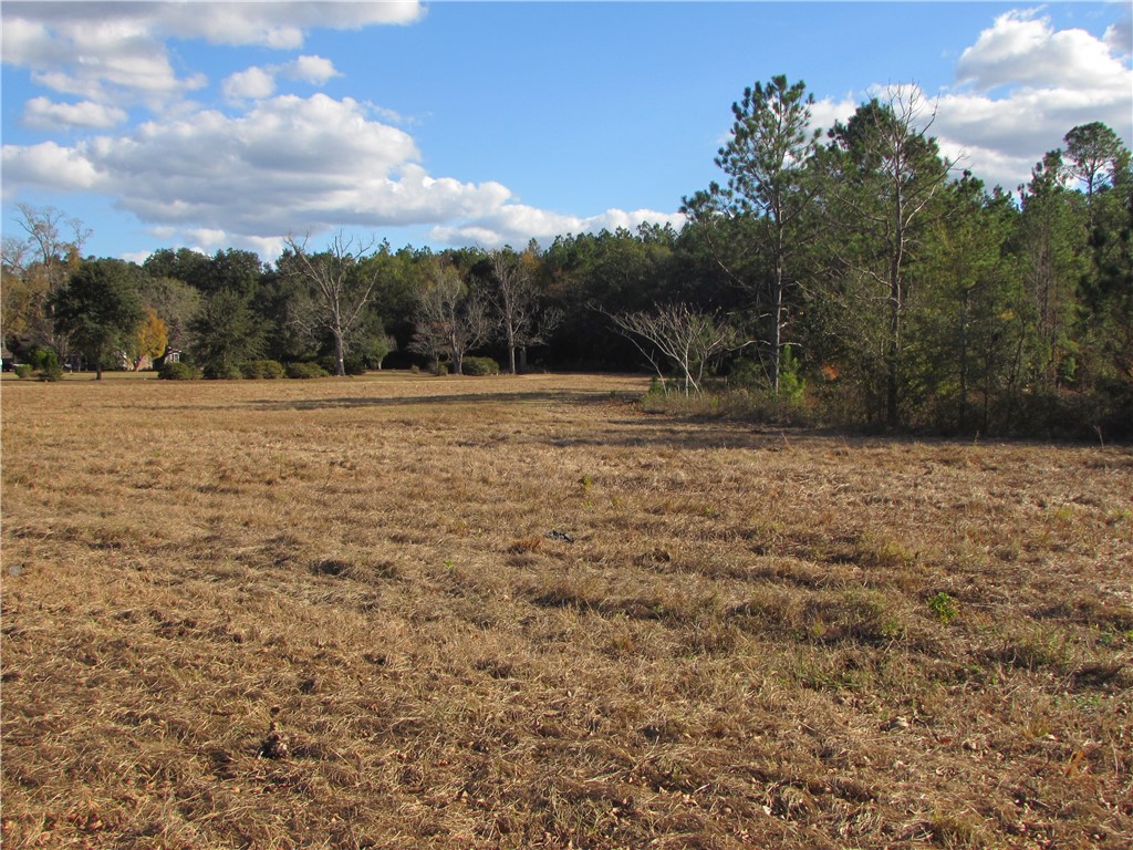 6204 Cross Swamp Road Patterson, GA 31557 - Photo 10 of 16