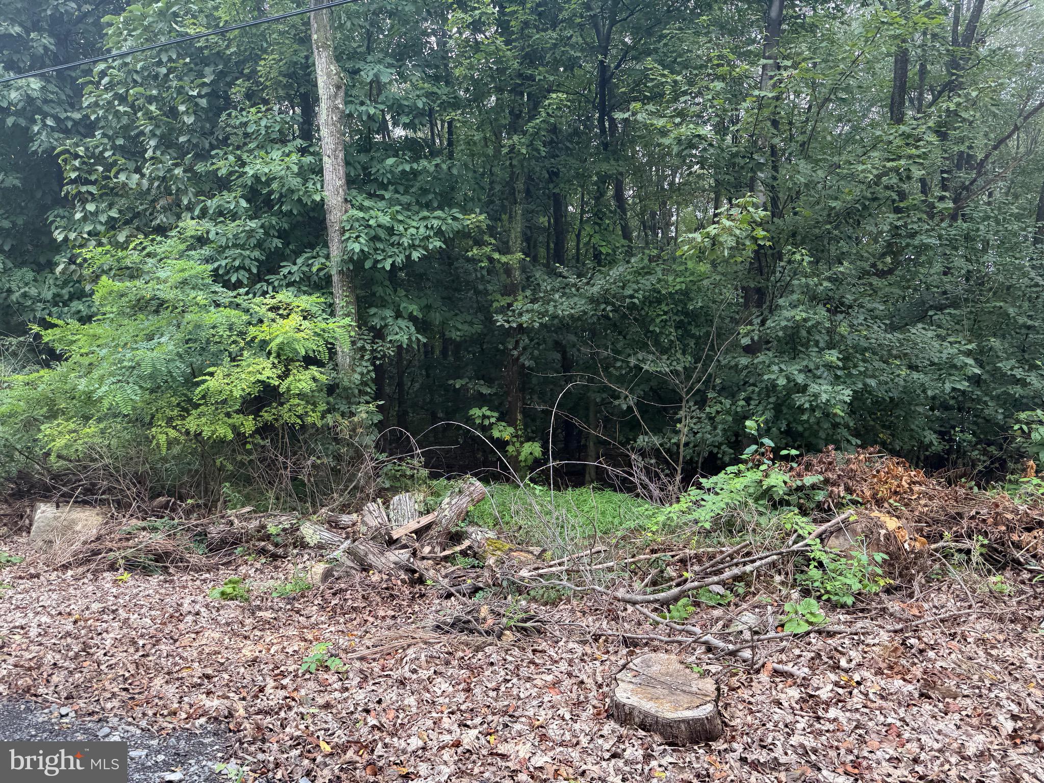 0 Pinnacle Road Keyser, WV 26726 - Photo 49 of 61