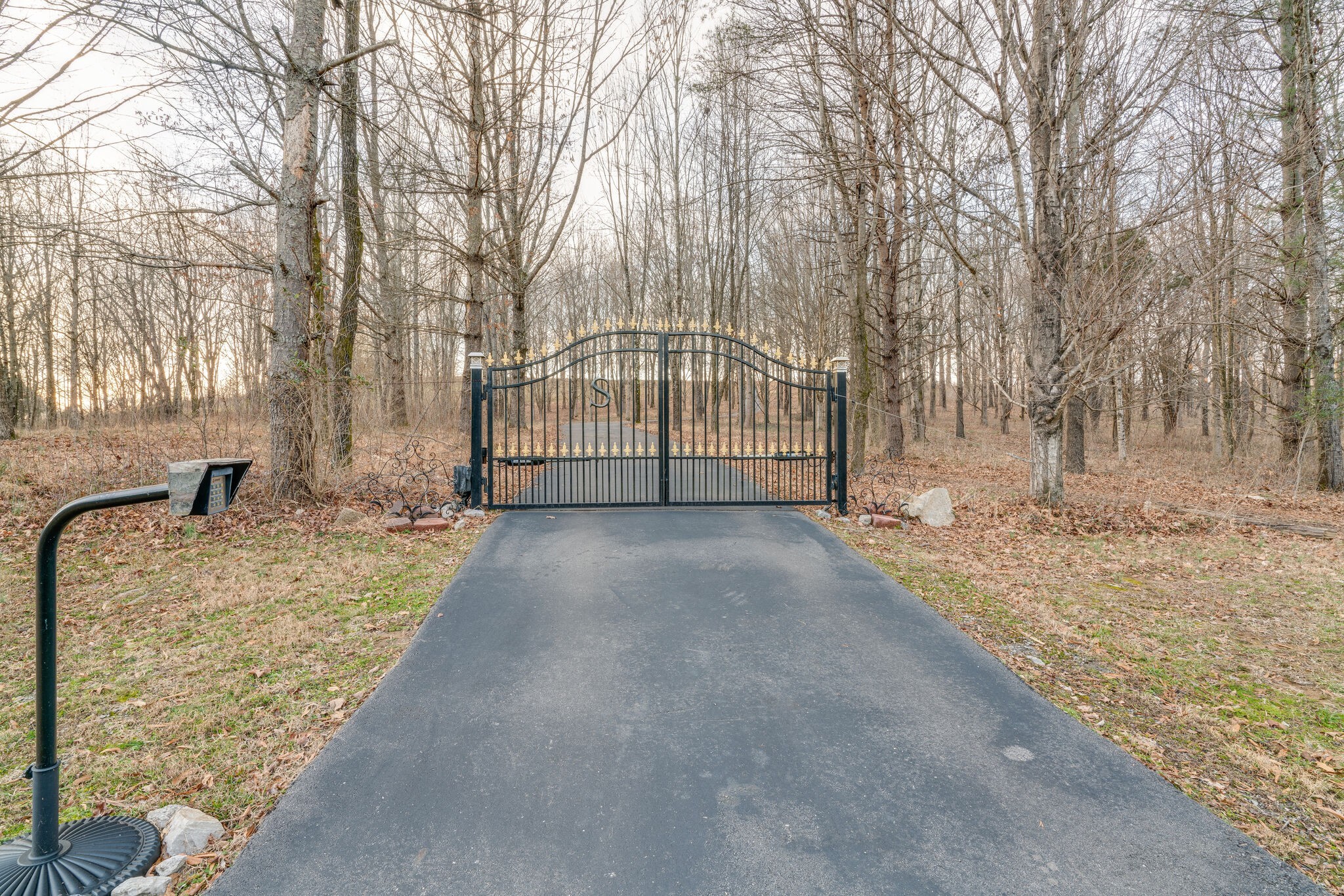 6300 Cairo Bend Road Lebanon, TN 37087 - Photo 6 of 50 a view of backyard with large trees