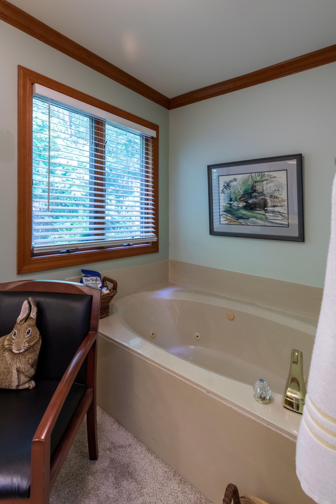1375 Cove Pointe Road La Follette, TN 37766 - Photo 28 of 39 1375 Cove Pointe Rd-22