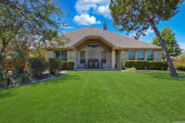 a view of a yard with plants and large trees
