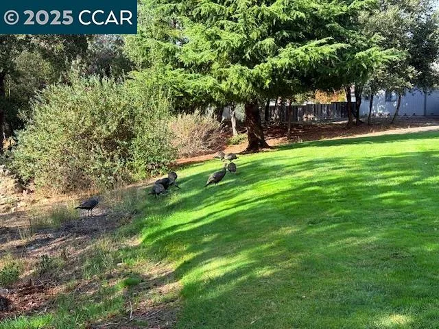 a sign board with a tree in the park