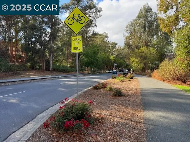 a view of a park with trees