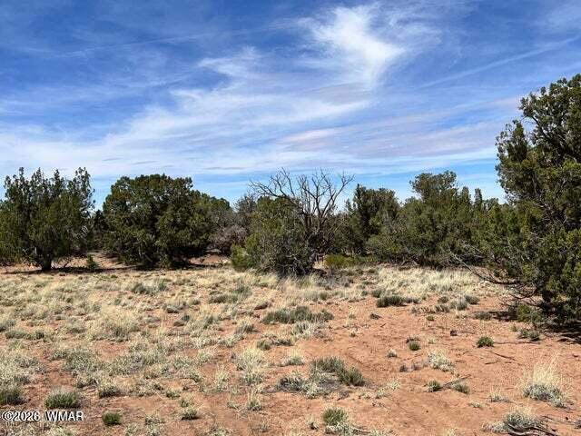 4265 East Pinto Road Snowflake, AZ 85937 - Photo 2 of 4 a view of a yard with a tree