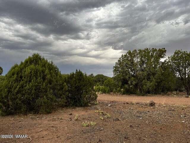 4265 East Pinto Road Snowflake, AZ 85937 - Photo 3 of 4 a view of a dry yard