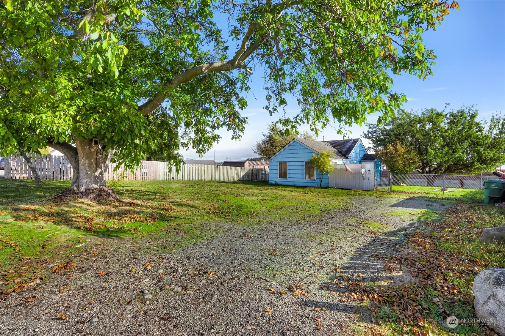 635 Southeast Fidalgo Avenue Oak Harbor, WA 98277 - Photo 1 of 24 a view of a tree in a yard