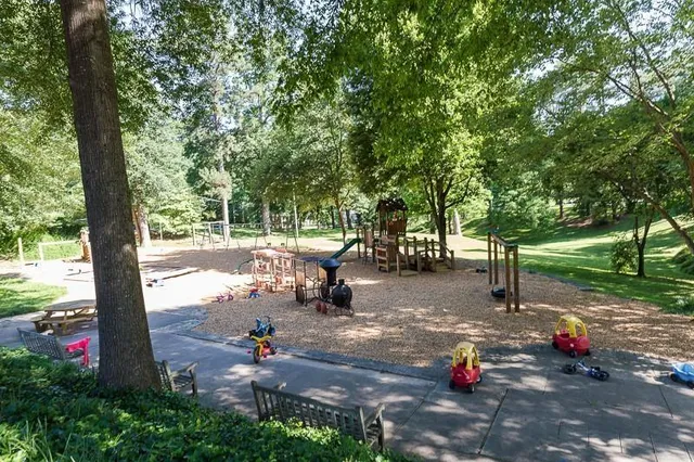 a view of a park with large trees
