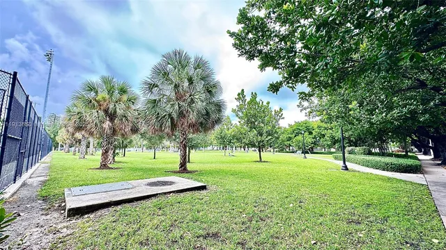 a view of a park with a tree