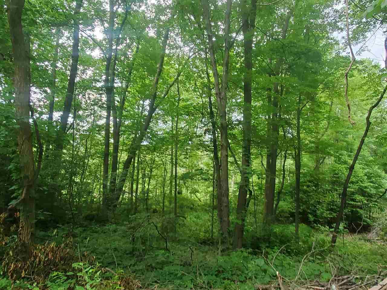 0 Shady Lane Tipton, MI 49287 - Photo 6 of 6
