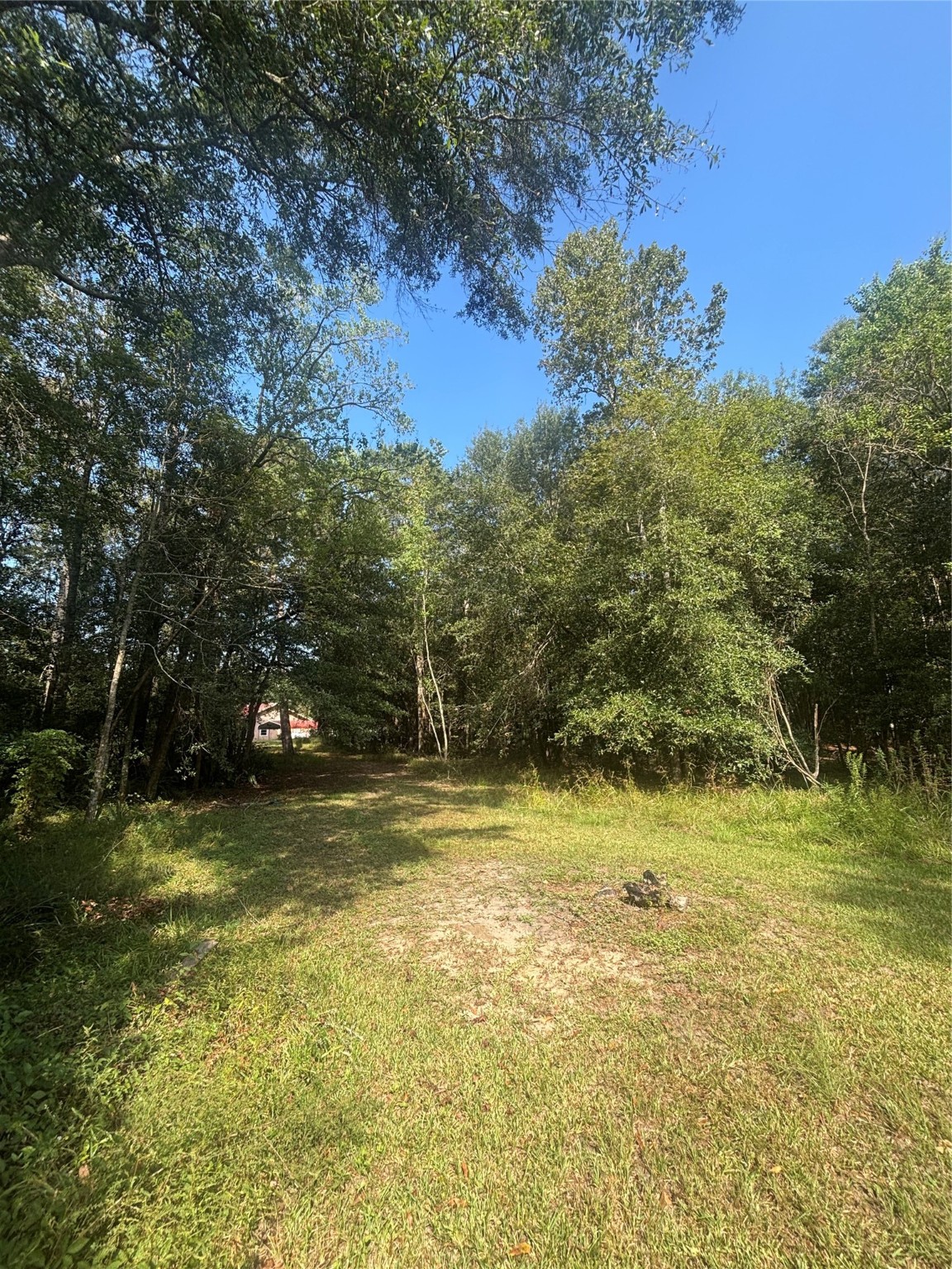 402 County Road 3708 Splendora, TX 77372 - Photo 5 of 17