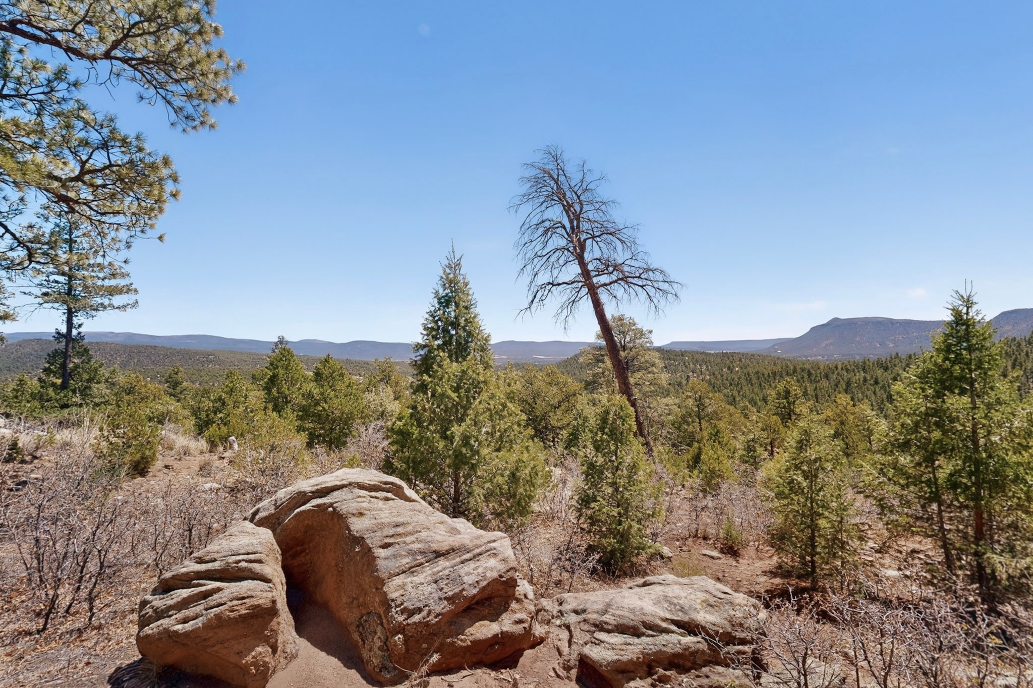 30 Monte La Cueva Road Glorieta, NM 87535 - Photo 22 of 91