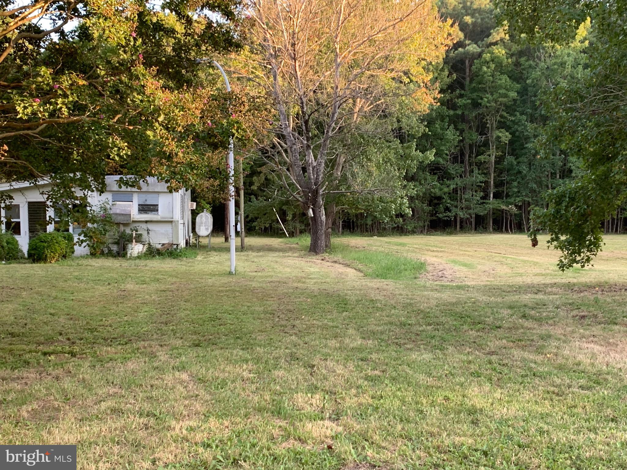 11415 Point Lookout Road Scotland, MD 20687 - Photo 9 of 11 Gallery Image 9