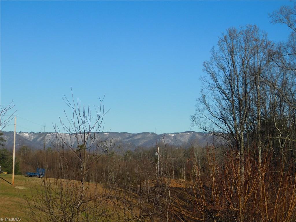 1844 Maple Grove Church Road Mount Airy, NC 27030 - Photo 3 of 14 Gallery Image 3