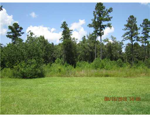 27925 Carter Purvis Road Independence, LA 70443 - Photo 3 of 16 Gallery Image 3
