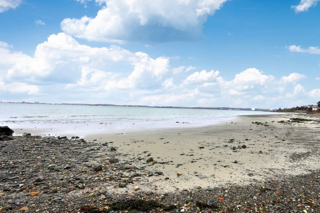 8 Castle Road Nahant, MA 01908 - Photo 2 of 32 a view of ocean view with beach