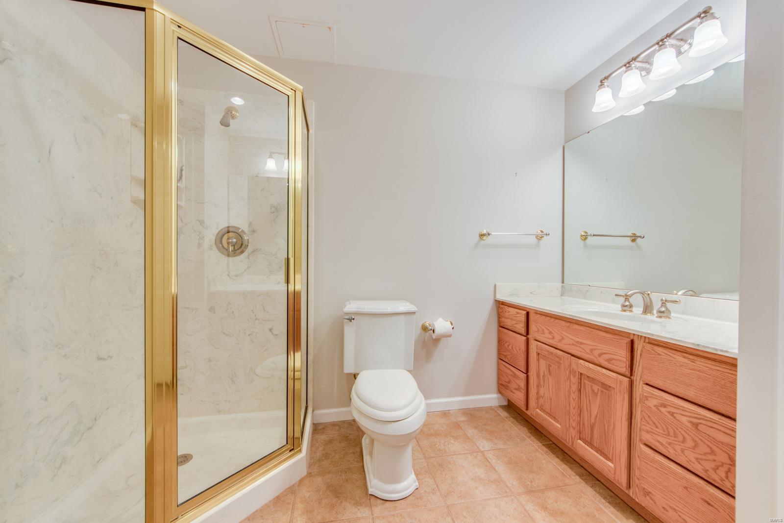 1669 Carman Road Ballwin, MO 63021 - Photo 69 of 86 Gallery Image 69