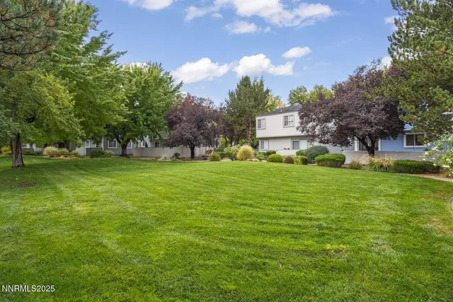 a view of a tree in front of a house