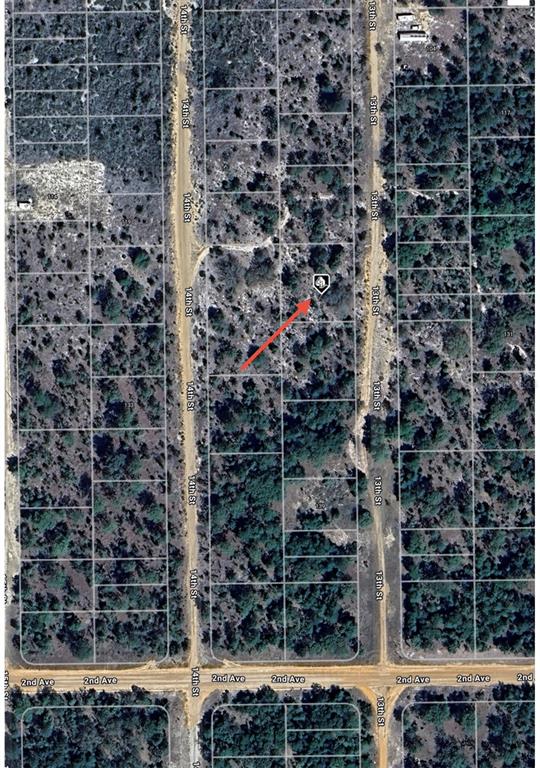 Tbd 13th Street Interlachen, FL 32148 - Photo 6 of 6