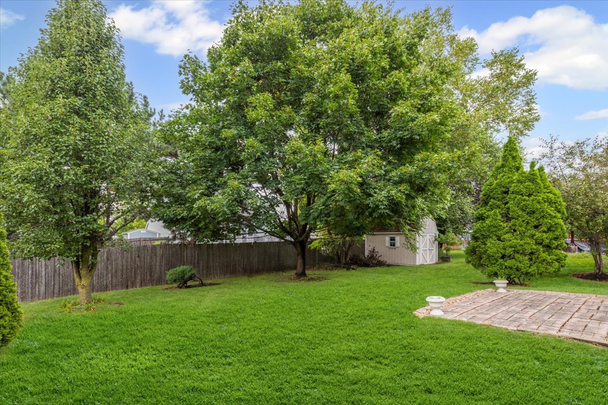 808 Violet Circle Naperville, IL 60540 - Photo 18 of 31 a view of yard with tree in front of it