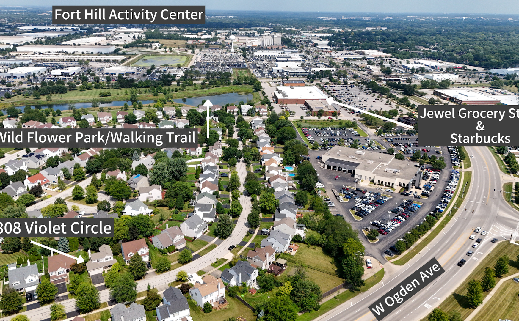 808 Violet Circle Naperville, IL 60540 - Photo 24 of 31 a city view