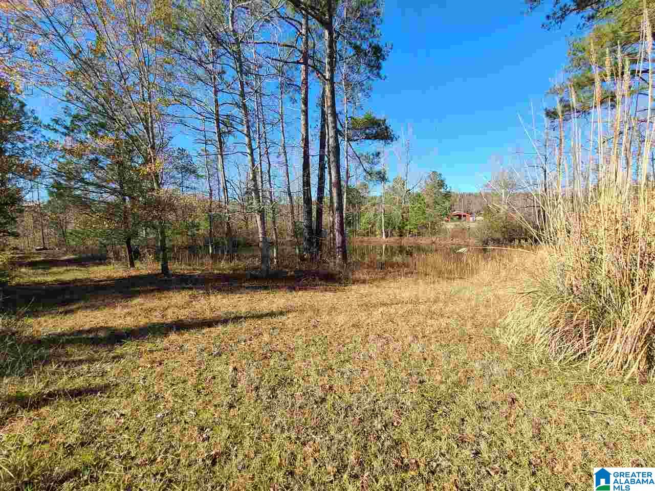 3360 Possum Trot Road Piedmont, AL 36272 - Photo 1 of 7