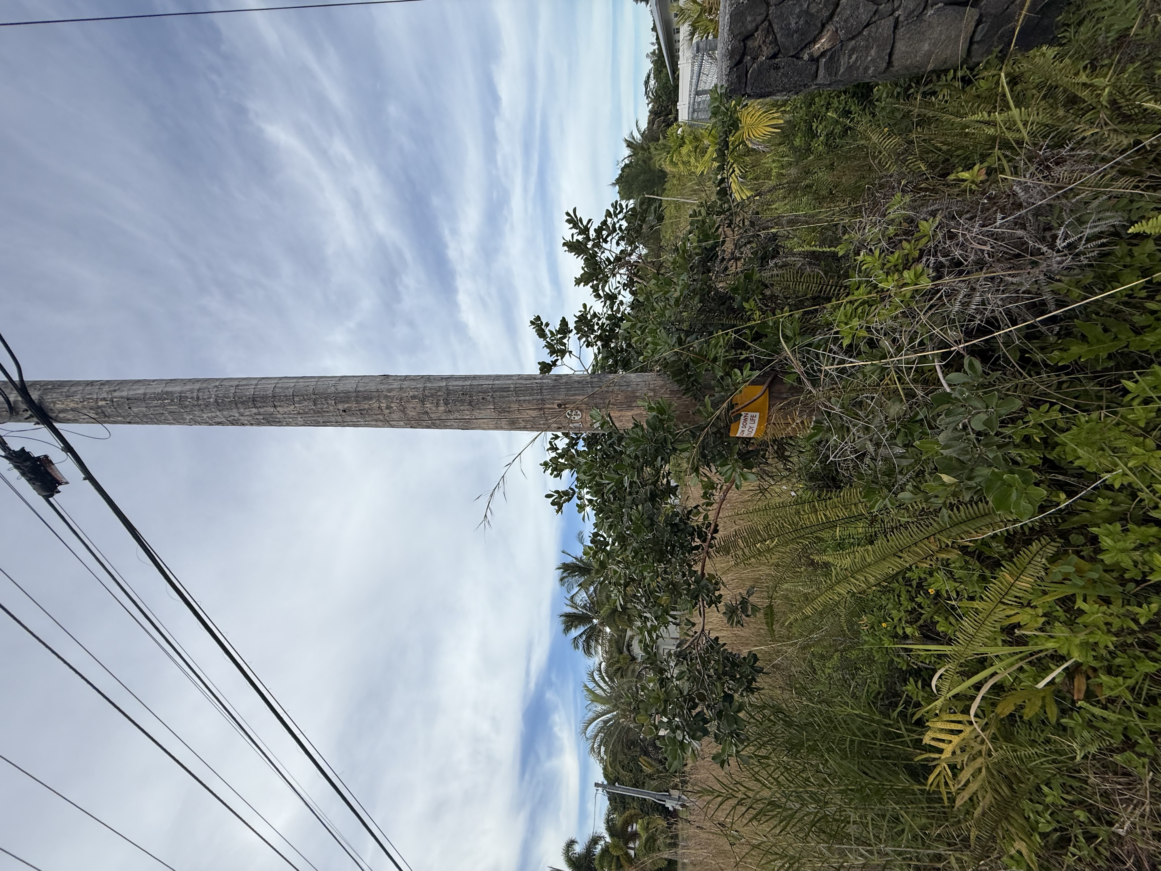 15-1576 Lot 3077 Beach Road Keaau, HI 96749 - Photo 17 of 23