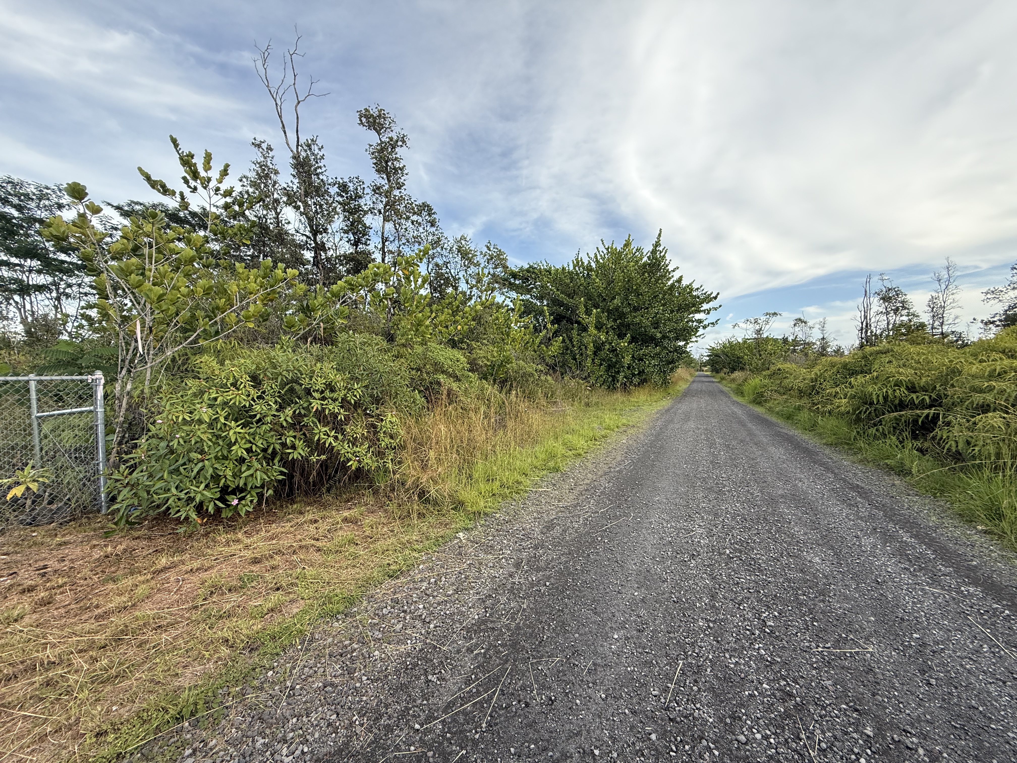 15-1576 Lot 3077 Beach Road Keaau, HI 96749 - Photo 21 of 23 a view of a garden with plants