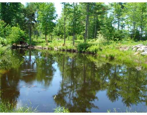 74 Crummett Mountain Road Somerville, ME 04348 - Photo 7 of 14 Other. Pond
