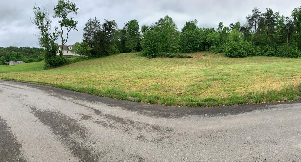 8 Briar Ridge Lane Strawberry Plains, TN 37871 - Photo 1 of 1