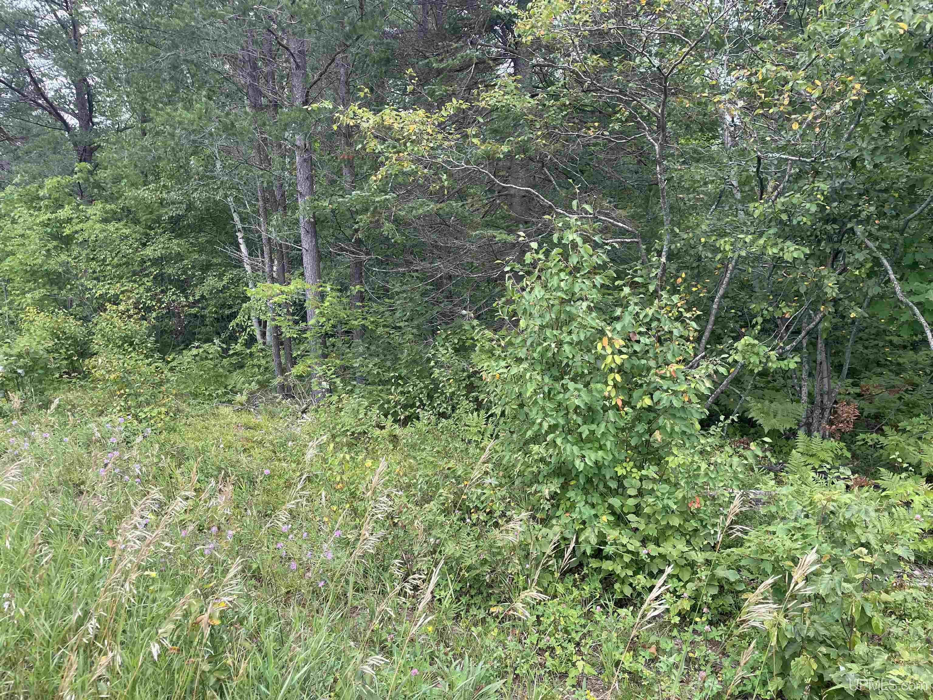 456 North Rd Little Lake Little Lake, MI 49833 - Photo 5 of 29