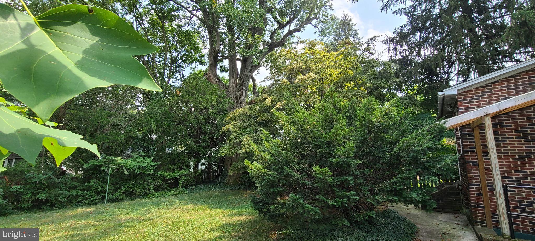 25 Dunmore Road Baltimore, MD 21228 - Photo 22 of 26
