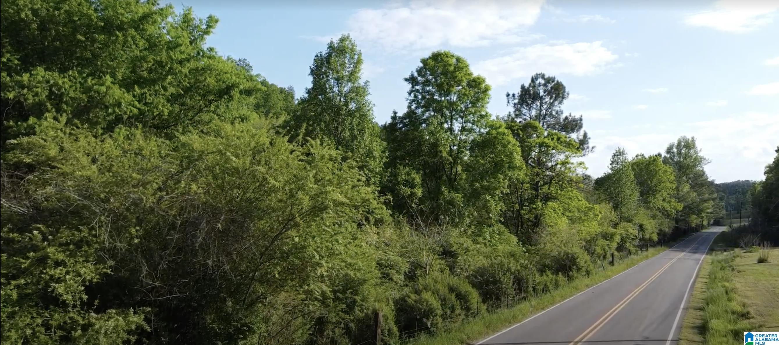 7951 River Road Dora, AL 35062 - Photo 15 of 28