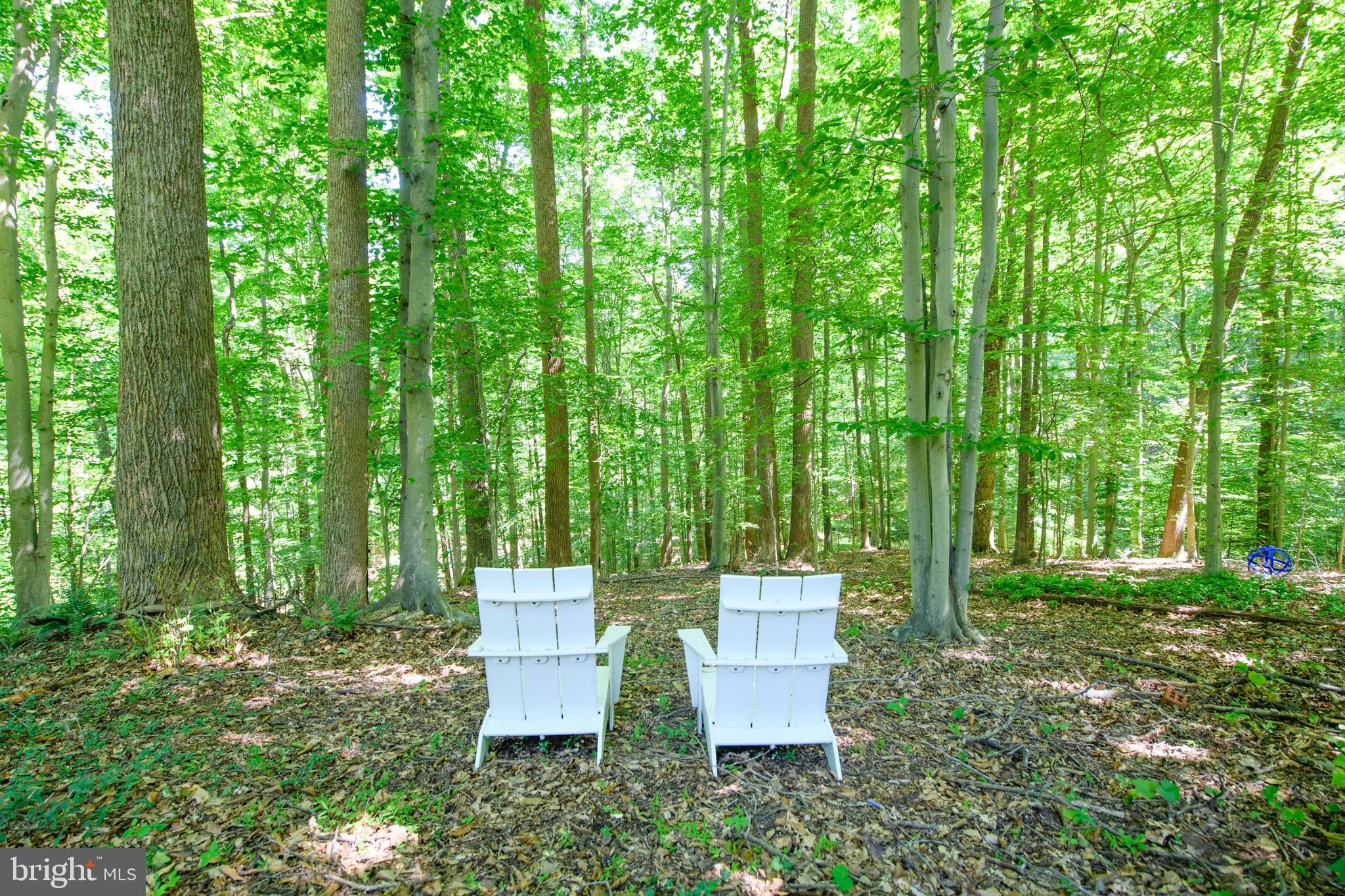 627 Potomac River Road McLean, VA 22102 - Photo 86 of 89 Adjacent to Scott's Run Nature Preserve