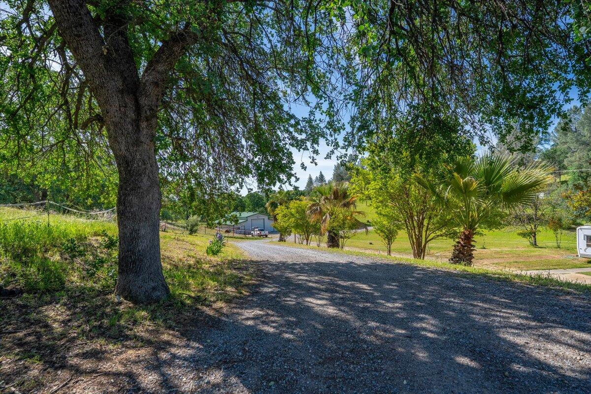 19255 Eighmy Road Cottonwood, CA 96022 - Photo 136 of 144 141-19255 Eighmy Rd - E-88