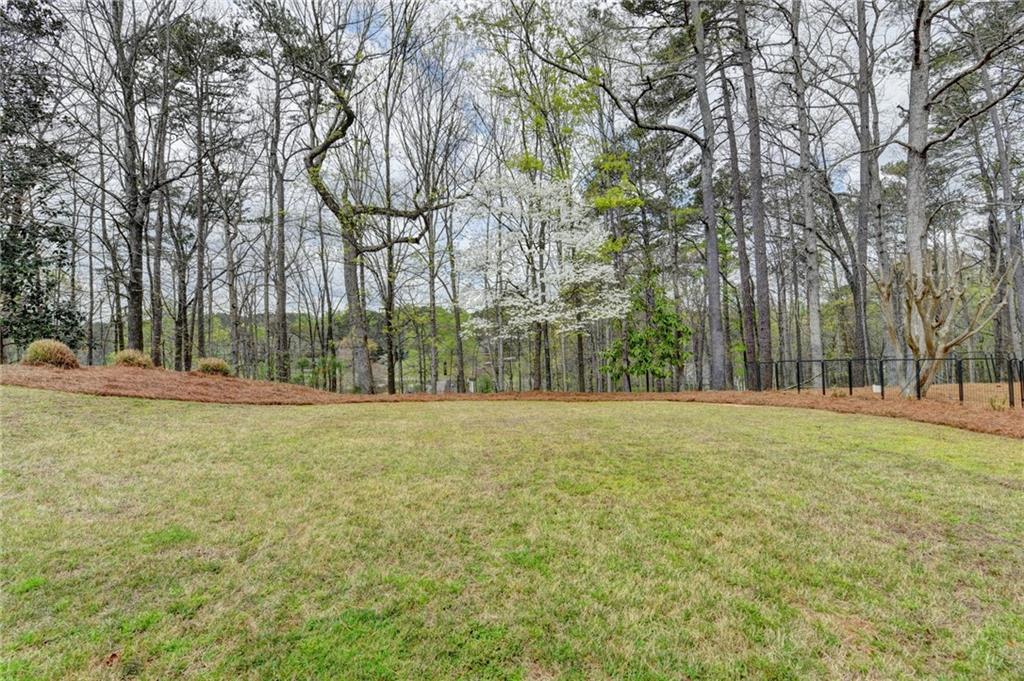 195 Stoney Ridge Drive Alpharetta, GA 30022 - Photo 48 of 63